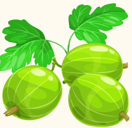 Amalaki